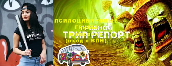 скорость Касимов